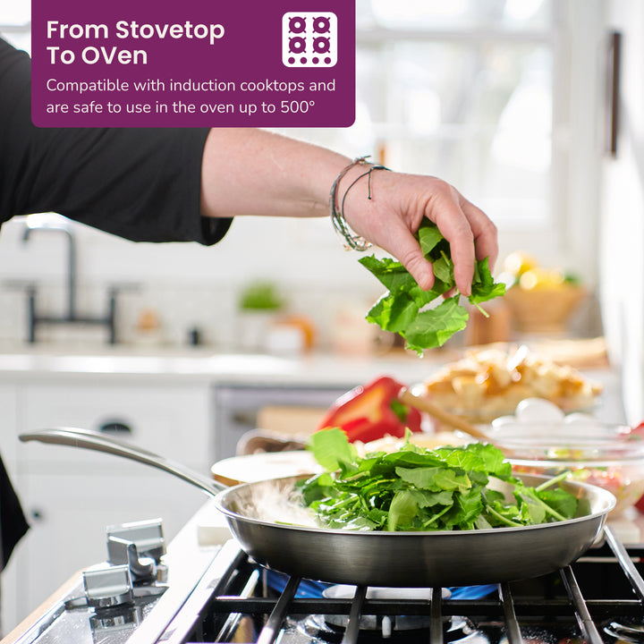 Stainless Steel Skillet 10-inch#option_10-inch-with-lid